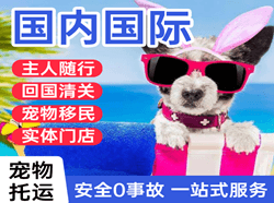 珠海莲洲航空运输国际宠物托运 【国